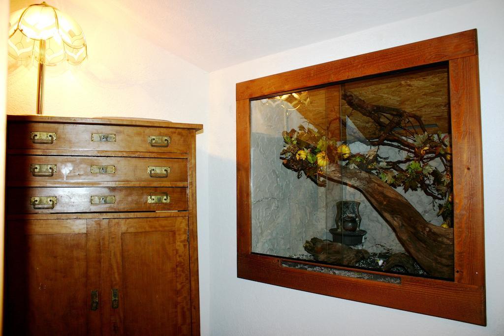Ferienwohnung Rita Бад Митерндорф Екстериор снимка